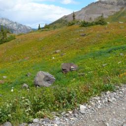 Road to Imogene Pass, CO