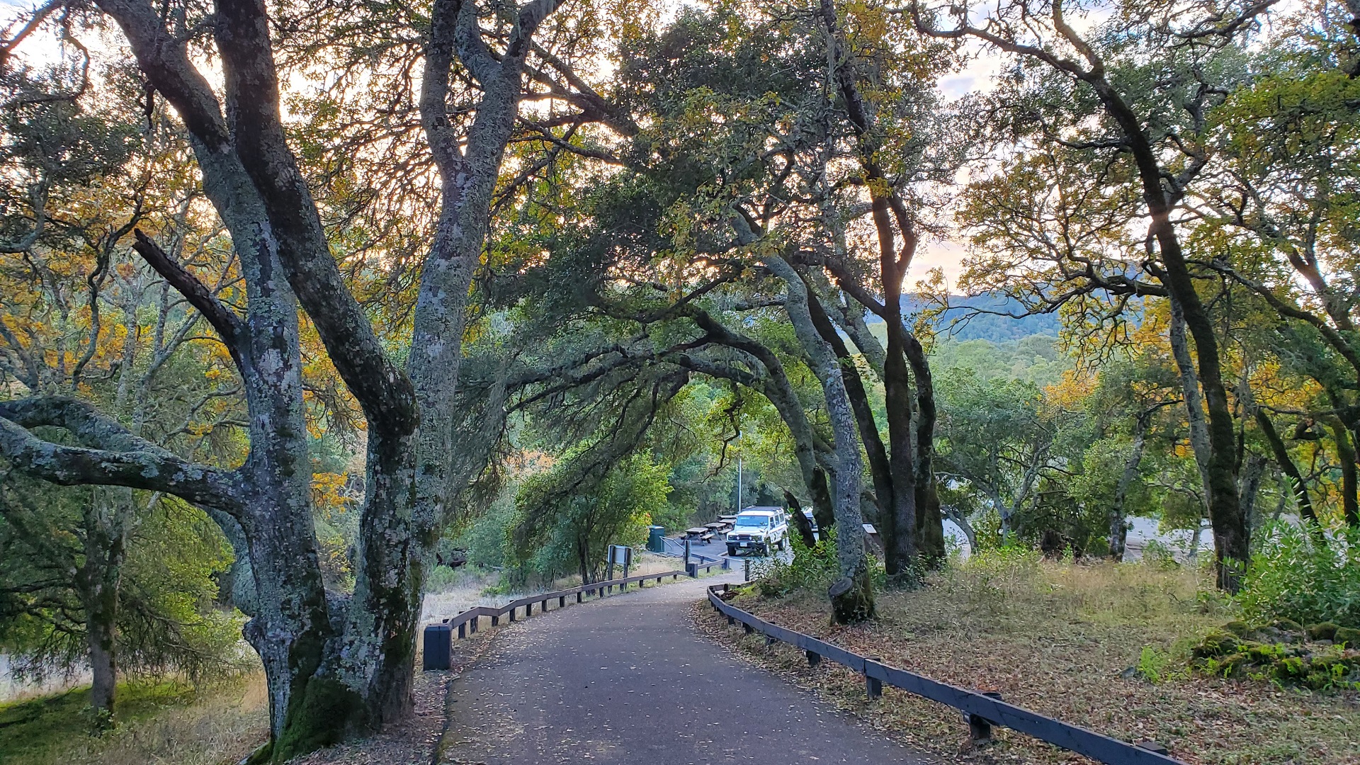 At Jack London State Park in Sonoma, California